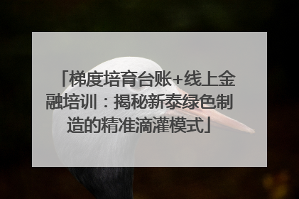 梯度培育台账+线上金融培训：揭秘新泰绿色制造的精准滴灌模式