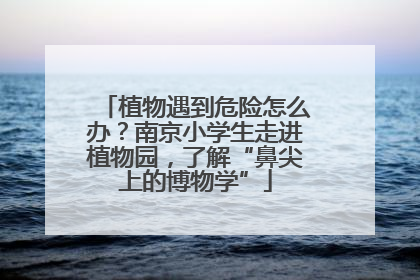 植物遇到危险怎么办？南京小学生走进植物园，了解“鼻尖上的博物学”