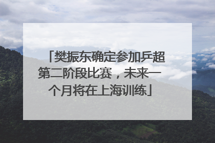 樊振东确定参加乒超第二阶段比赛，未来一个月将在上海训练