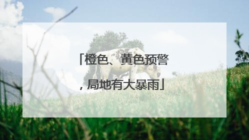 橙色、黄色预警，局地有大暴雨