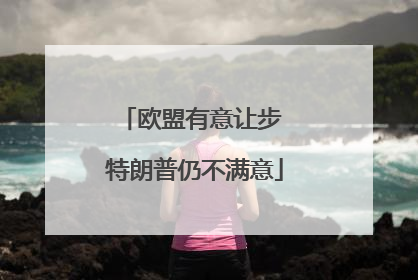 欧盟有意让步 特朗普仍不满意