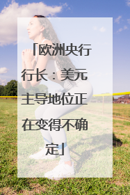 欧洲央行行长：美元主导地位正在变得不确定