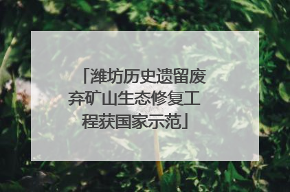 潍坊历史遗留废弃矿山生态修复工程获国家示范