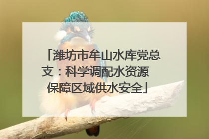 潍坊市牟山水库党总支：科学调配水资源 保障区域供水安全