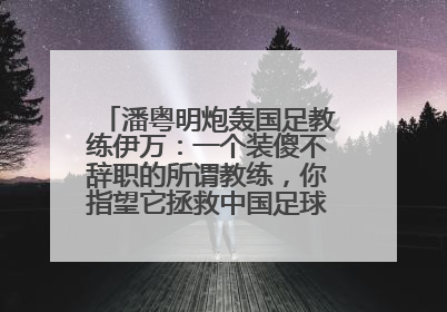 潘粤明炮轰国足教练伊万：一个装傻不辞职的所谓教练，你指望它拯救中国足球！此前曾多次发文评价国足