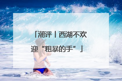 潮评丨西湖不欢迎“粗暴的手”