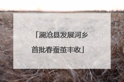 澜沧县发展河乡首批春蚕茧丰收