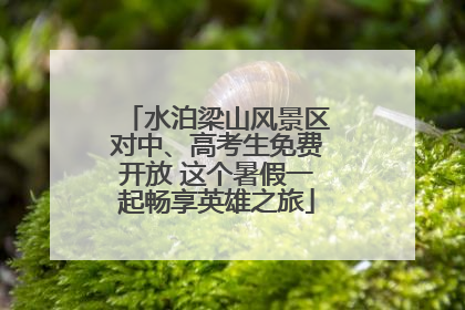 水泊梁山风景区对中、高考生免费开放 这个暑假一起畅享英雄之旅