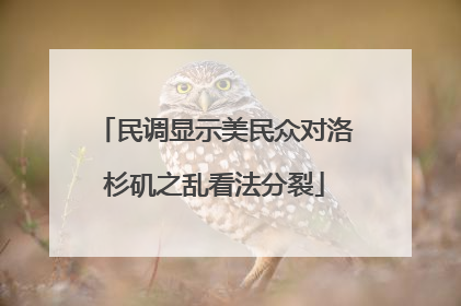 民调显示美民众对洛杉矶之乱看法分裂