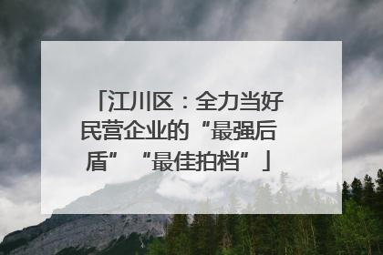 江川区：全力当好民营企业的“最强后盾”“最佳拍档”