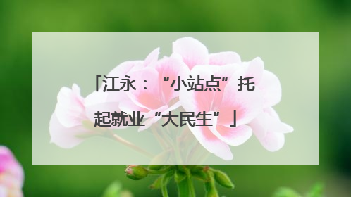 江永：“小站点”托起就业“大民生”