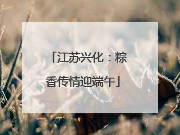 江苏兴化：粽香传情迎端午