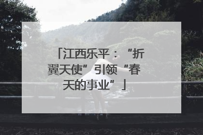 江西乐平：“折翼天使”引领“春天的事业”