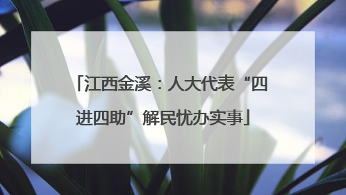 江西金溪：人大代表“四进四助”解民忧办实事