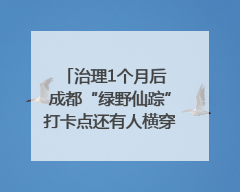 治理1个月后 成都“绿野仙踪”打卡点还有人横穿马路去拍照吗？｜民情瞭望