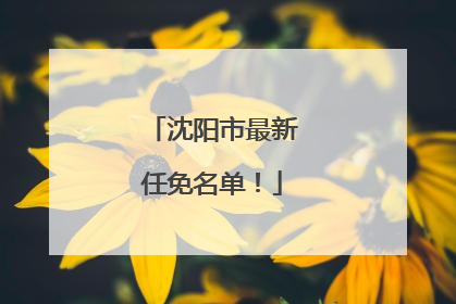 沈阳市最新任免名单！