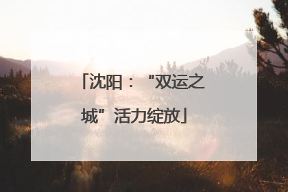 沈阳：“双运之城”活力绽放