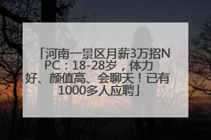 河南一景区月薪3万招NPC：18-28岁，体力好、颜值高、会聊天！已有1000多人应聘