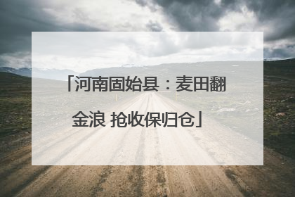 河南固始县：麦田翻金浪 抢收保归仓