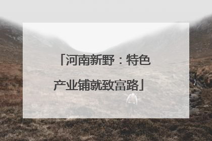 河南新野：特色产业铺就致富路