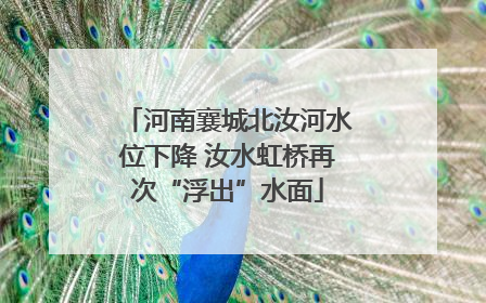 河南襄城北汝河水位下降 汝水虹桥再次“浮出”水面