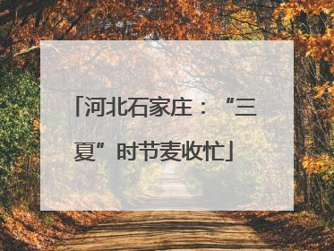 河北石家庄：“三夏”时节麦收忙