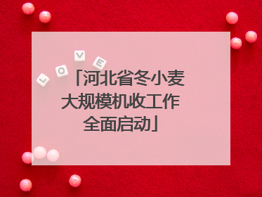 河北省冬小麦大规模机收工作全面启动