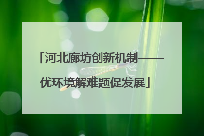 河北廊坊创新机制——优环境解难题促发展