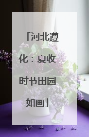 河北遵化：夏收时节田园如画