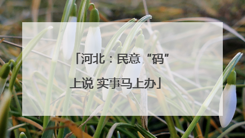 河北：民意“码”上说 实事马上办