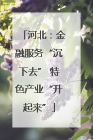 河北：金融服务“沉下去” 特色产业“升起来”