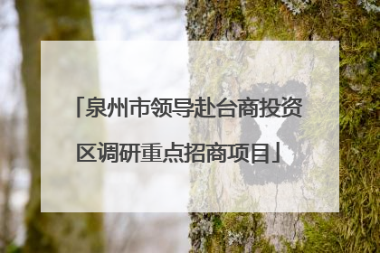 泉州市领导赴台商投资区调研重点招商项目