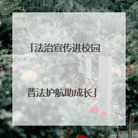 法治宣传进校园 普法护航助成长