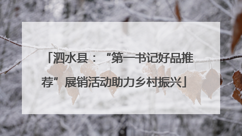 泗水县：“第一书记好品推荐”展销活动助力乡村振兴