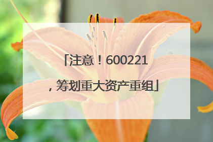 注意！600221，筹划重大资产重组