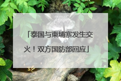 泰国与柬埔寨发生交火！双方国防部回应