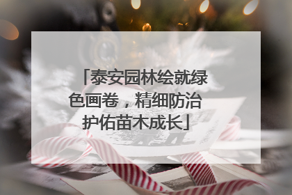 泰安园林绘就绿色画卷，精细防治护佑苗木成长