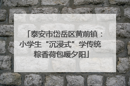 泰安市岱岳区黄前镇：小学生“沉浸式”学传统 粽香荷包暖夕阳