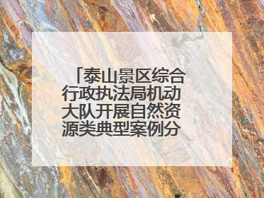 泰山景区综合行政执法局机动大队开展自然资源类典型案例分析交流活动