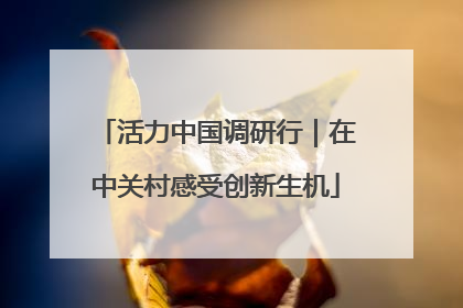 活力中国调研行｜在中关村感受创新生机