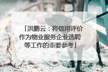 洪鹏云：将信用评价作为物业服务企业选聘等工作的重要参考
