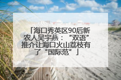 海口秀英区90后新农人吴宇燕：“双语”推介让海口火山荔枝有了“国际范”
