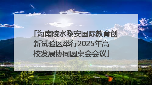 海南陵水黎安国际教育创新试验区举行2025年高校发展协同圆桌会会议