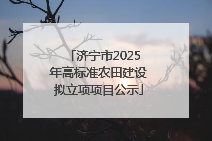 济宁市2025年高标准农田建设拟立项项目公示