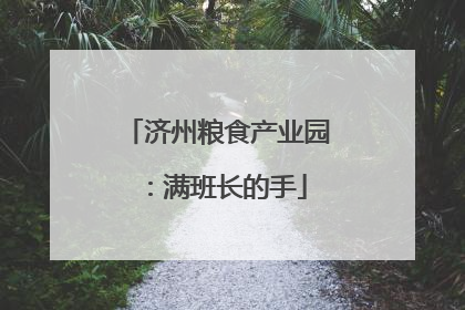 济州粮食产业园：满班长的手