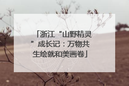 浙江“山野精灵”成长记：万物共生绘就和美画卷