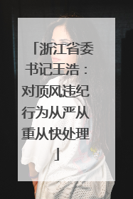 浙江省委书记王浩：对顶风违纪行为从严从重从快处理