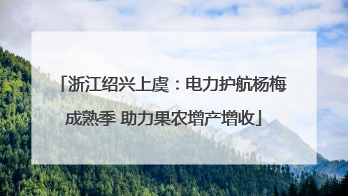 浙江绍兴上虞：电力护航杨梅成熟季 助力果农增产增收