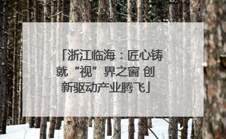 浙江临海：匠心铸就“视”界之窗 创新驱动产业腾飞