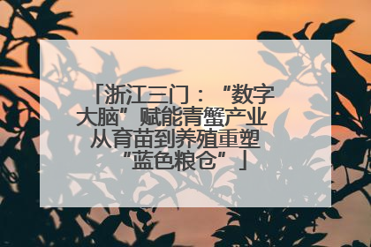 浙江三门：“数字大脑”赋能青蟹产业 从育苗到养殖重塑“蓝色粮仓”
